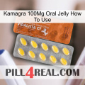 Kamagra 100Mg Oral Jelly How To Use 42